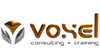 Voxel Consulting + Training